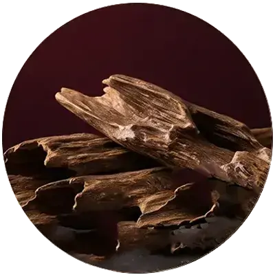 collection-img